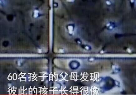 澳男子非法捐精致60個孩子模樣相似 細節(jié)揭露實在是太雷人