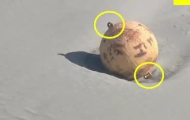 日本海岸現(xiàn)不明球狀物:直徑1.5米 已派處理小組進(jìn)行調(diào)查