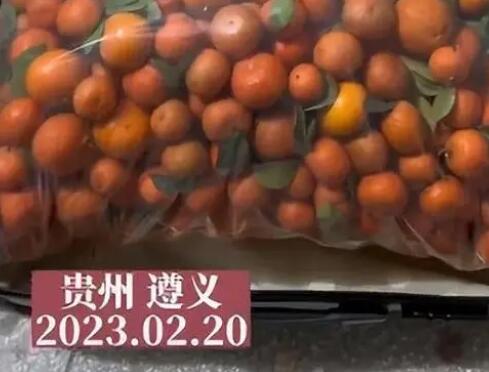 女生帶50斤砂糖橘返校結(jié)果全丟了 背后真相太令人意外了