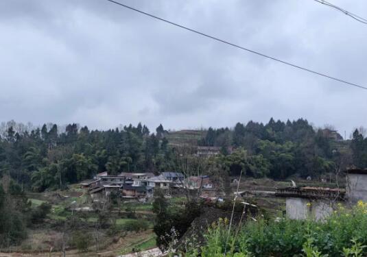 老人去世后現(xiàn)身 親屬曾認尸沒敢靠近 背后真相簡直驚呆了