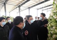 湖南省委書記調(diào)研土坑酸菜事發(fā)地 小小的酸菜備受關(guān)注