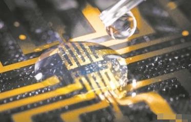 科學(xué)家在大腦中培育出電極 到底是什么情況?