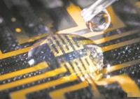 科學家在大腦中培育出電極 背后真相曝光簡直太驚人了