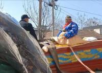 老漢為自己辦“葬禮”:辦完挺滿意 到底是什么情況?