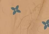 女子曝楊子直播間賣的被子里全是頭發(fā) 真相揭露真的令人大吃一驚 