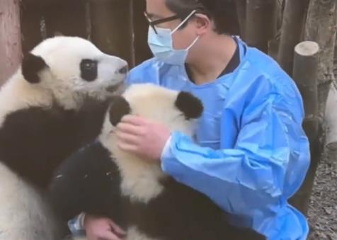 向熊貓福菀潑水3游客身份未確定 背后真相曝光簡直太驚人了