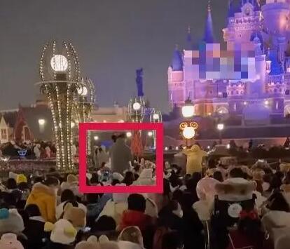 游客站著看煙花秀遭罵?迪士尼回應(yīng) 背后真相曝光簡(jiǎn)直太驚人了