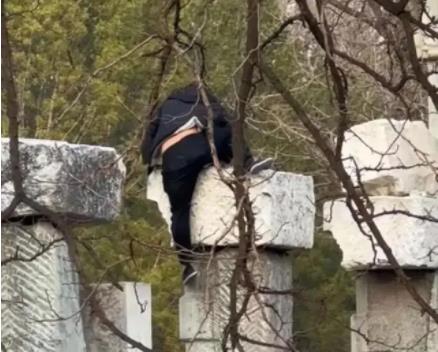 圓明園回應(yīng)男子攀爬遺址拍照 到底是什么情況?