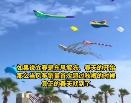 海洋風(fēng)箏爆火 網(wǎng)友:春天的信號(hào) 原因竟是這樣讓人驚呆了