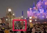 游客站著看煙花秀遭罵?迪士尼回應(yīng) 背后真相曝光簡(jiǎn)直太驚人了