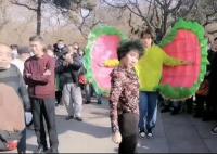 沈陽(yáng)一公園整治鉆褲襠等不雅舞姿 背后真相曝光簡(jiǎn)直太驚人了