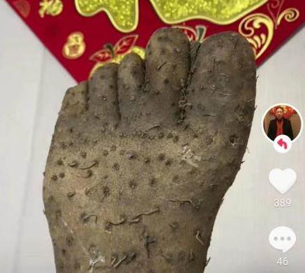 男子買到奇葩山藥外形酷似人腳掌 背后真相曝光簡(jiǎn)直太驚人了