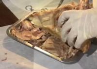 醫(yī)學(xué)生吃燒烤花1小時解剖豬頭 為什么這么做原因是什么?