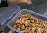 酒店讓員工給菜下藥系自導(dǎo)自演 真相曝光簡直太驚人了