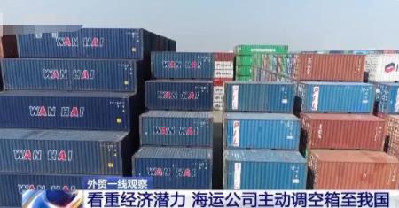 空箱堆港?記者實地探訪寧波舟山港 真相曝光簡直太驚人了