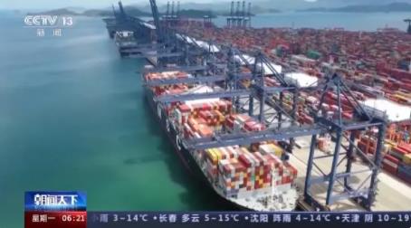 空箱堆港?記者實(shí)地探訪寧波舟山港 真相曝光簡直太驚人了