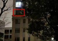 檢方提前介入“殺夫藏尸冰柜案” 家屬一年前察覺(jué)異常