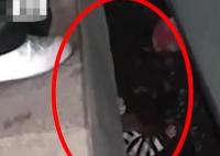 官方回應(yīng)一孩子掉進(jìn)鐵路站臺縫隙 照片曝光直接讓人大呼意外