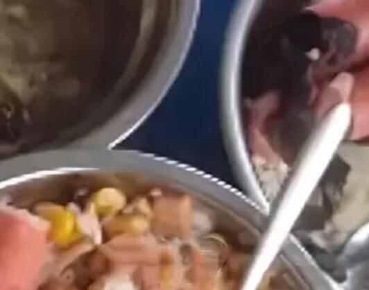 按倒點外賣學生校方食堂被曝菜餿 到底是什么情況?