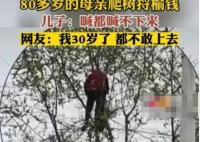80多歲老太爬樹摘榆錢 喊都喊不下來(lái) 真相曝光簡(jiǎn)直太驚人了