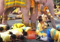 帶團泰國導(dǎo)游稱以為噶腰子是笑話 真相曝光簡直太驚人了