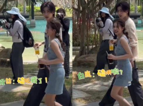 白鹿和張凌赫綜藝節(jié)目叫什么?