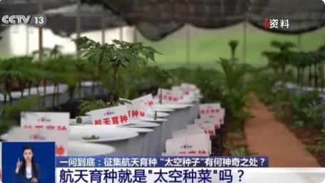 上天入地的太空種子這樣煉成 到底是什么情況?