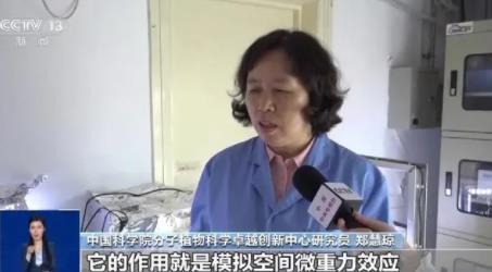 上天入地的太空種子這樣煉成 到底是什么情況?