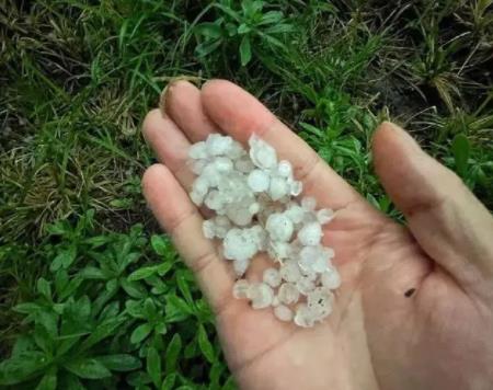 密集落下!實拍北京多地突降冰雹 狂風大作雨水中夾著冰雹