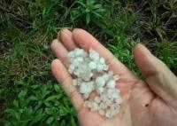 密集落下!實(shí)拍北京多地突降冰雹 狂風(fēng)大作雨水中夾著冰雹