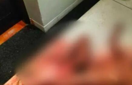 巴厘島身亡中國男子掙扎爬行20分鐘 照片曝光實(shí)在是太嚇人了