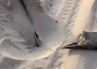 網(wǎng)傳一沙漠景區(qū)沙下埋20厘米三角釘 真相離譜實在是太荒唐了