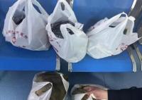 鄭州一醫(yī)院開(kāi)出2.3萬(wàn)元中藥處方 背后原因簡(jiǎn)直驚呆了眾人