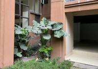 姐弟墜亡案被告翻供稱“有精神病” 真相到底是什么?