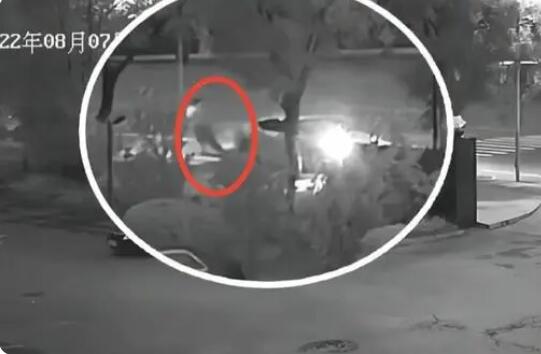 男子無證酒駕撞人拋尸 原因揭秘直接讓人傻眼了