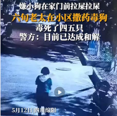 女子疑在小區(qū)內(nèi)撒藥致多條狗死亡 具體事件經(jīng)過是什么?