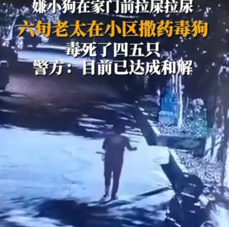 女子疑在小區(qū)內(nèi)撒藥致多條狗死亡 具體事件經(jīng)過是什么?