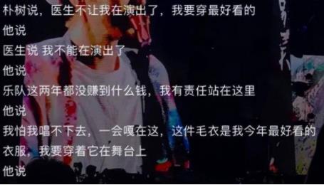 樸樹報平安 真相原來是這樣太讓人心酸