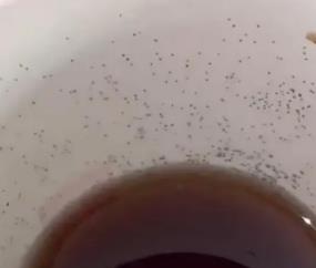 麥當(dāng)勞外賣可樂杯壁內(nèi)布滿霉點 真相曝光簡直太驚人了