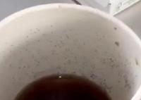 麥當勞外賣可樂杯壁內(nèi)布滿霉點 原因竟是這樣實在是太意外了