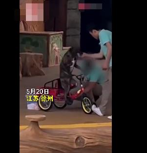動(dòng)物園回應(yīng)員工呵斥抽打小狗 到底是什么情況?