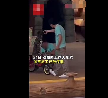動物園回應(yīng)員工呵斥抽打小狗 到底是什么情況?