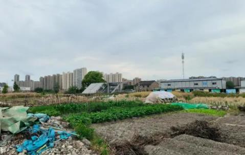 投2億建的地鐵站成“孤島” 耕地保護(hù)“紅線”不能逾越