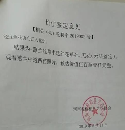 農(nóng)婦掐走兩枝蘭花被判三緩四 真相曝光簡直太驚人了