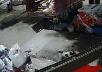 寵物貓被鄰居高空扔下活活摔死 照片曝光實在是太嚇人了