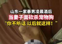 家暴男被指當(dāng)妻子面砍殺寵物狗 真相曝光簡(jiǎn)直太驚人了