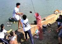 男子掉入魚塘前緊急扔出手機 背后原因簡直驚呆了眾人