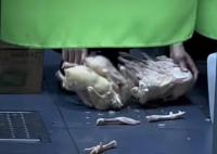 米線門店回應(yīng)員工腳踩雞肉解凍 真相曝光簡(jiǎn)直太驚人