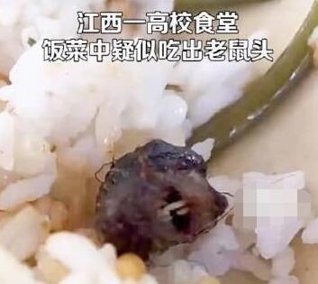 高校鼠頭涉事窗口幾乎沒(méi)人去吃飯 原因揭秘直接讓人傻眼了