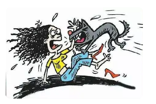 學校回應校內(nèi)數(shù)只大型犬咬傷學生 到底是什么情況?